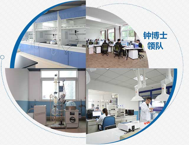 强大的研发实力